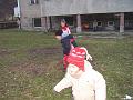 Obraz 085